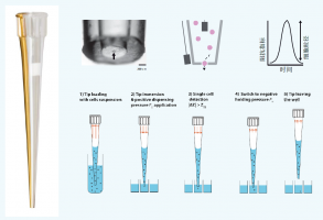 Dispencell_seed_biosciense单细胞分配仪