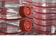 Gravite@